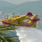 Illustration du profil de Pierre Tatti